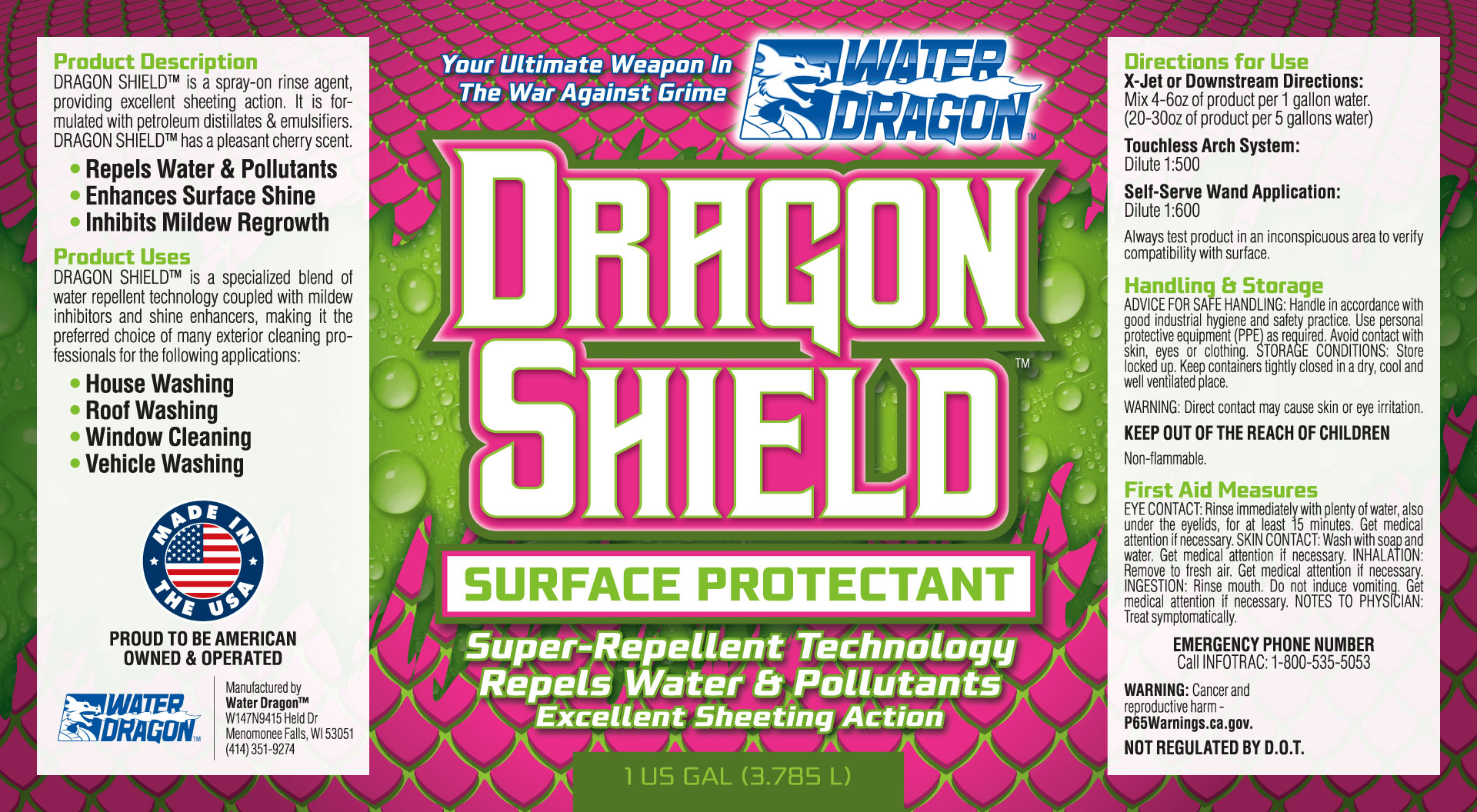 Water Dragon Dragon Shield for Sale in Milwaukee, WI